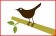 Twitter Updates